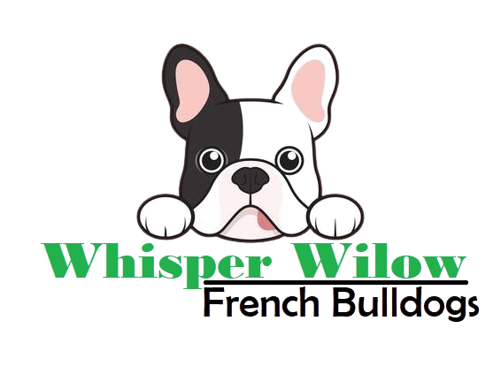 whisperwilowfrenchbulldogs.store